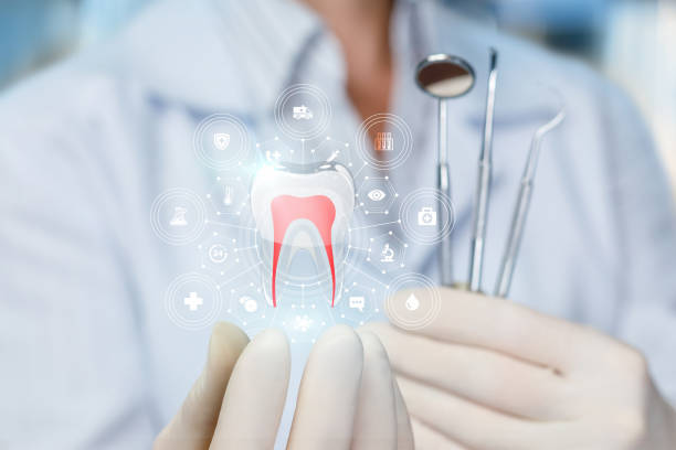 Best General Dentistry  in Theresa, WI